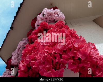 Vue aérienne rapprochée d'abondantes compositions florales d'hortensia rouge et rose ornant l'extérieur d'un bâtiment contre un ciel bleu vif Banque D'Images