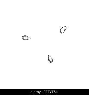 Graines pomme poire illustration graphique. Botanical isolé encre dessinant à la main petit objet dessiné sur fond blanc. Elément de dessin imprimé pour motif Illustration de Vecteur