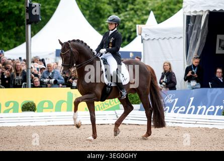 Hambourg, Allemagne. 17 mai 2026. Sport équestre : saut, saut allemand et Derby de dressage, Almased Derby allemand de dressage : Isabell Werth d'Allemagne chevauche Viva Gold Old. Crédit : Daniel Bockwoldt/dpa/Alamy Live News Banque D'Images