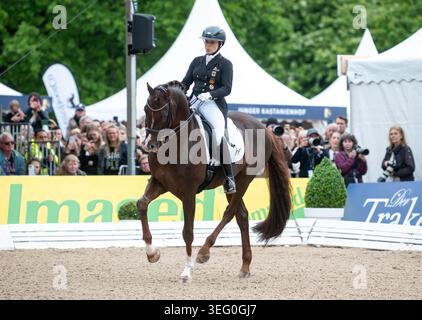 Hambourg, Allemagne. 17 mai 2026. Sport équestre : saut, saut allemand et Derby de dressage, Almased Derby allemand de dressage : Isabell Werth d'Allemagne chevauche Viva Gold Old. Crédit : Daniel Bockwoldt/dpa/Alamy Live News Banque D'Images