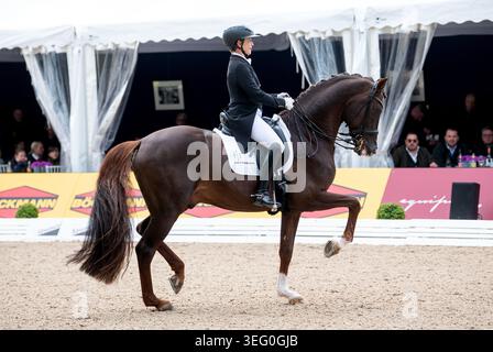 Hambourg, Allemagne. 17 mai 2026. Sport équestre : saut, saut allemand et Derby de dressage, Almased Derby allemand de dressage : Isabell Werth d'Allemagne chevauche Viva Gold Old. Crédit : Daniel Bockwoldt/dpa/Alamy Live News Banque D'Images