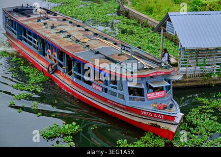 Inde, État du Kerala, Alleppey, vie fluviale sur les backwaters Banque D'Images