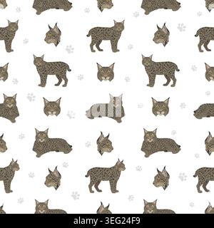 Chats sauvages européens. Modèle sans couture de lynx eurasien. Illustration vectorielle Illustration de Vecteur