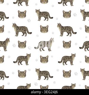 Chats sauvages européens. Motif sans couture européen Wildcat. Illustration vectorielle Illustration de Vecteur