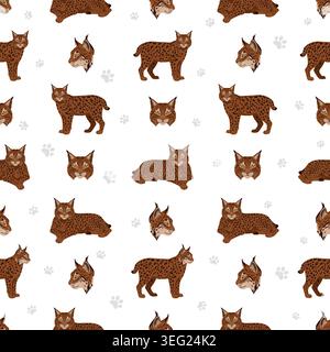 Chats sauvages européens. Motif sans couture lynx ibérique. Illustration vectorielle Illustration de Vecteur