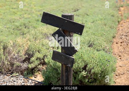 Un poteau en bois rustique avec trois flèches sombres vierges pointant dans des directions différentes se trouve à côté d'un sentier de randonnée et d'un champ de lavande à une attraction touristique de ferme rurale par une journée ensoleillée en Israël Banque D'Images