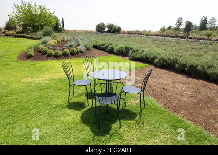 Un café extérieur avec une table ronde en métal noir et quatre chaises assorties se tient sur une pelouse verte vibrante à côté d'un champ de plantation de lavande par une journée ensoleillée dans la campagne israélienne Banque D'Images