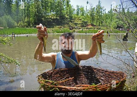 Une personne montre du poisson pêché sur des paniers en osier pendant l'ancienne fête du poisson de Panzath. L'événement communautaire annuel se double d'un effort de conservation vital, où les résidents nettoient le limon des sources historiques pour obtenir de l'eau d'irrigation propre avant la saison de plantation du riz. Le 17 mai 2026 à Qazigund, au Sud-Cachemire. (Crédit image : © Danish Showkat/eyepix via ZUMA Press Wire) USAGE ÉDITORIAL SEULEMENT ! Non destiné à UN USAGE commercial ! Banque D'Images