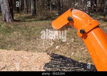 Le traitement de la déchiqueteuse de bois se transforme en paillis pour une utilisation dans le jardin, photo d'action en gros plan en extérieur Banque D'Images