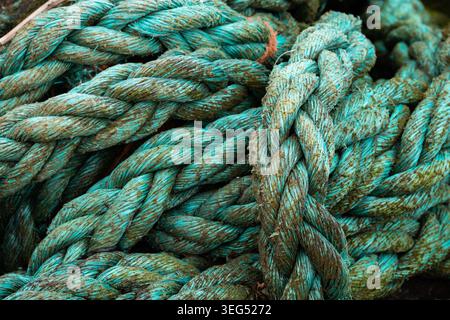 Plan macro de cordes de pêche turquoise tressées lourdes avec mousse organique et texture altérée Banque D'Images