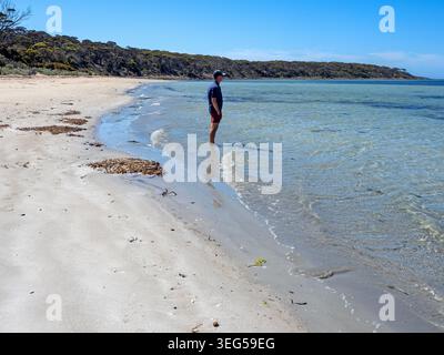 Homme debout dans l'eau à Surfleet Cove, Lincoln National Park Banque D'Images