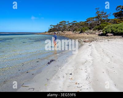 Homme debout dans l'eau à Surfleet Cove, Lincoln National Park Banque D'Images