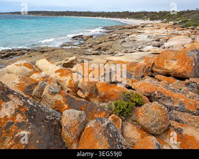 September Beach, parc national de Lincoln Banque D'Images