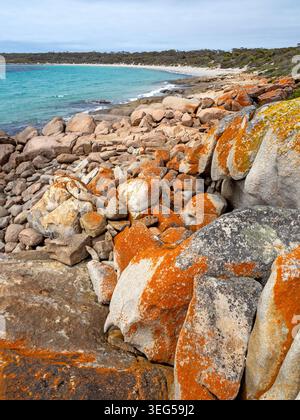September Beach, parc national de Lincoln Banque D'Images