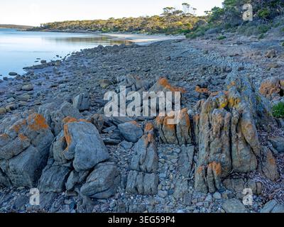 Surfleet Cove, parc national de Lincoln Banque D'Images