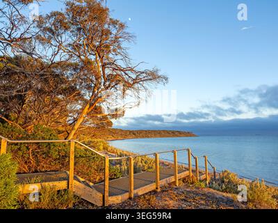 Surfleet Cove, parc national de Lincoln Banque D'Images