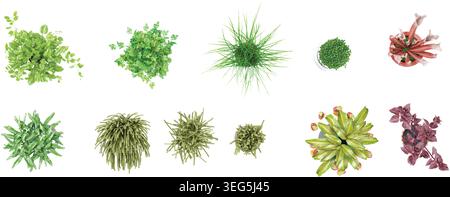 Différentes plantes dans des pots, des pots de fleurs ou des vases avec des plantes d'intérieur de la vue de dessus Illustration de Vecteur