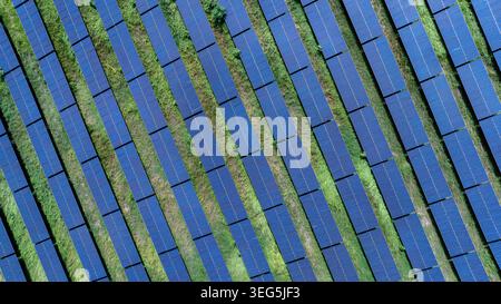 Vue surélevée d'une ferme solaire à grande échelle avec des rangées de panneaux photovoltaïques intégrés dans un champ vert pour la production d'énergie durable. Banque D'Images