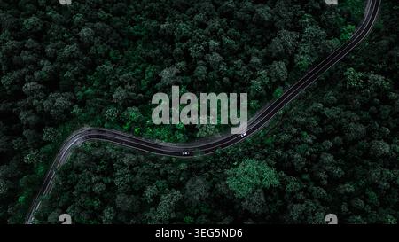 Vue surélevée d'une route de montagne courbe serpentant à travers une forêt verdoyante idéale pour les concepts automobiles et environnementaux de voyage. Banque D'Images