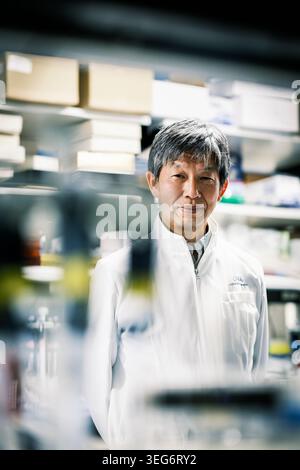 Dr Jun Takahashi au Centre de recherche et d'application des cellules IPS Banque D'Images