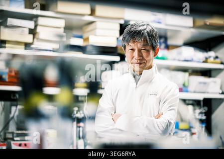 Dr Jun Takahashi au Centre de recherche et d'application des cellules IPS Banque D'Images