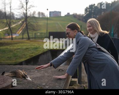 Deux femmes en plein air dans un parc de la ville, l'une souriante et tendant la main à un chat ludique allongé sur un rebord en béton, profitant de la compagnie et de la nature ensemble Banque D'Images