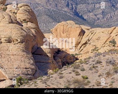 Formations de grès accidentées, végétation désertique clairsemée de la zone de conservation nationale de Red Rock Canyon Banque D'Images