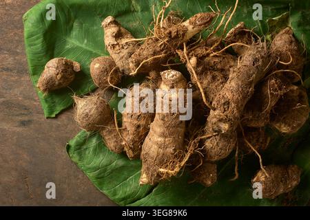 racines de taro non pelées crues fraîchement récoltées empilées sur une grande feuille verte au-dessus d'une table en bois, vue de dessus avec espace de copie, récolte agricole Banque D'Images