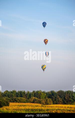 Quatre montgolfières colorées dérivent à travers un ciel bleu clair au-dessus des terres agricoles et des arbres au lever du soleil. Scène de voyage en plein air paisible avec espace de copie, vibra Banque D'Images