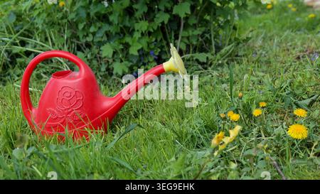 Arrosoir rouge sur herbe verte Banque D'Images