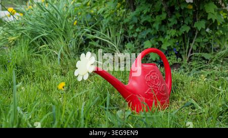 Arrosoir rouge sur herbe verte Banque D'Images