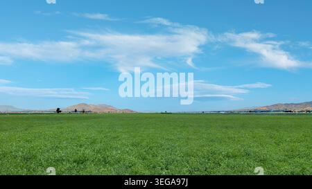 Vue grand angle de Green Alfalfa Farm avec paysage de montagne Banque D'Images