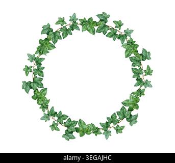 Clipart couronne lierre avec feuilles vertes et vignes botaniques isolées sur blanc. Illustration florale à l'aquarelle dessinée à la main cadre rond pour mariage Banque D'Images