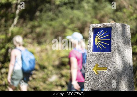 Pèlerins marchant sur leur chemin vers Saint-Jacques-de-Compostelle. Camino de Santiago signe de jalon sur la scène forestière Banque D'Images