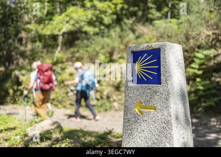 Pèlerins marchant sur leur chemin vers Saint-Jacques-de-Compostelle. Camino de Santiago signe de jalon sur la scène forestière Banque D'Images