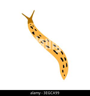 Illustration vectorielle rampante de limace tachetée jaune isolée sur fond blanc Illustration de Vecteur