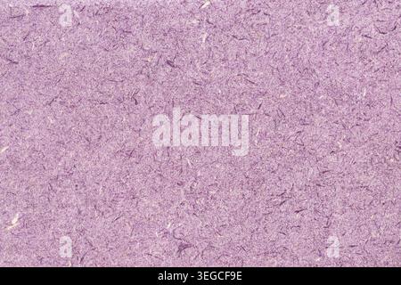 Violet couleur panneau de fibres MDF Bois abstrait texture d'arrière-plan. Plein format Banque D'Images