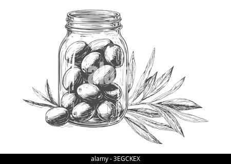 Olives dans un bocal en verre, un croquis dessiné à la main. Illustration vectorielle. Un pot d'olives avec une brindille élégante, isolé sur un fond blanc. Le thème de Illustration de Vecteur