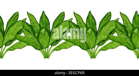 Illustration aquarelle bordure sans couture de feuilles de banane vertes luxuriantes. Motif de feuillage tropical dessiné à la main. Art botanique pour emballage alimentaire, tissus, w Banque D'Images