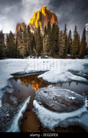 Vue sur le pic Tofana di Rozes brillante dans la lumière dorée reflétée dans une flaque gelée entourée de neige et de pins à Cortina d'Ampezzo, Vénétie, Ital Banque D'Images