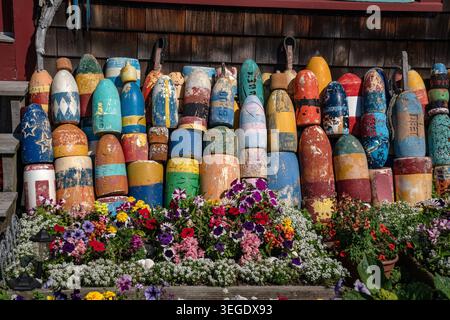 Vue de bouées colorées de homard altérées suspendues à un mur de bardeaux en bois avec des fleurs vibrantes en fleurs au premier plan à Edgartown, Massachusetts, Banque D'Images