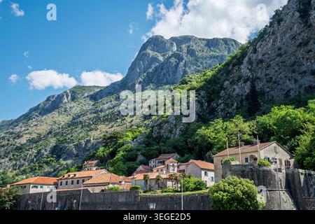 Découvrez les Alpes dinariques parfaites derrière le sommet de la forteresse de Kotor Monténégro dans la vieille ville de Kotor avec la tour de pierre de l'église catholique notre Dame de Remedy Banque D'Images
