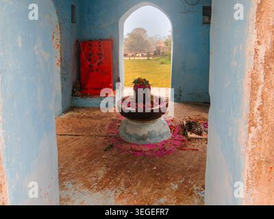 Orchha, Inde, 22.02.20. Un Shiva Lingam sacré décoré de fleurs et de poudres rituelles se trouve dans un sanctuaire aux murs bleus surplombant un jardin à Orch Banque D'Images