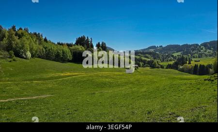 Vue sur les contreforts alpins avec des collines verdoyantes, des prairies luxuriantes et une forêt dense en Bavière, Allemagne. Banque D'Images