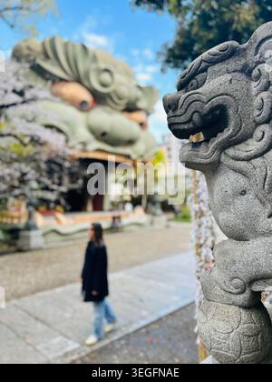 Osaka, Kansai, Japon - 2 avril 2026 : détail d'une statue de lion en pierre gardien traditionnelle au sanctuaire Namba Yasaka, avec un visiteur de passage et le massi Banque D'Images