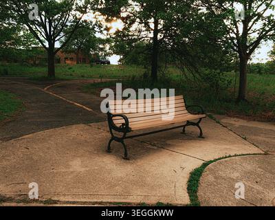 Un banc de parc vide sur une dalle de béton entourée d'arbres verdoyants avec la lumière du soleil du soir filtrant à travers le feuillage dense Banque D'Images