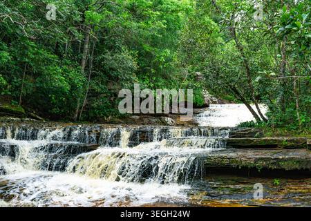 Une série de petites cascades coulant sur des surfaces rocheuses, entourées de verdure luxuriante à Guaviare, en Colombie. Banque D'Images