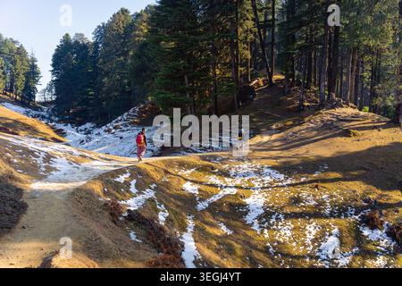 Un randonneur solitaire en veste rouge marche le long d'un chemin de montagne enneigé entouré de pins denses dans le paysage pittoresque de Chakrata, Uttarakhand, Inde. Banque D'Images