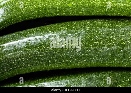 Macro shot de texture de peau de courgette organique avec des gouttes de rosée Banque D'Images