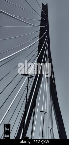 Une vue sur le pont Erasmus à haubans à Rotterdam, Hollande. Banque D'Images